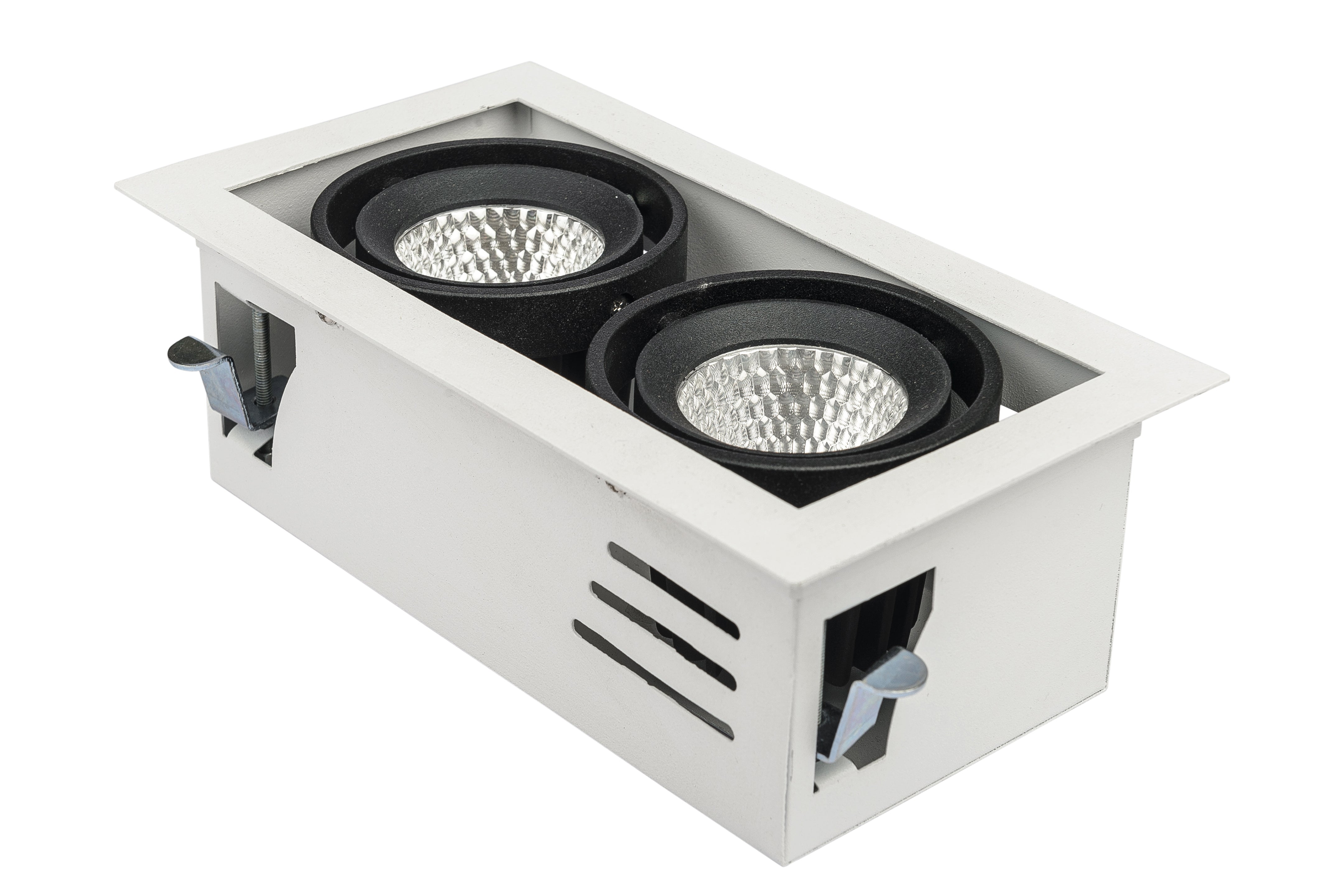 FB 12W x 2 Gimbal Down Light