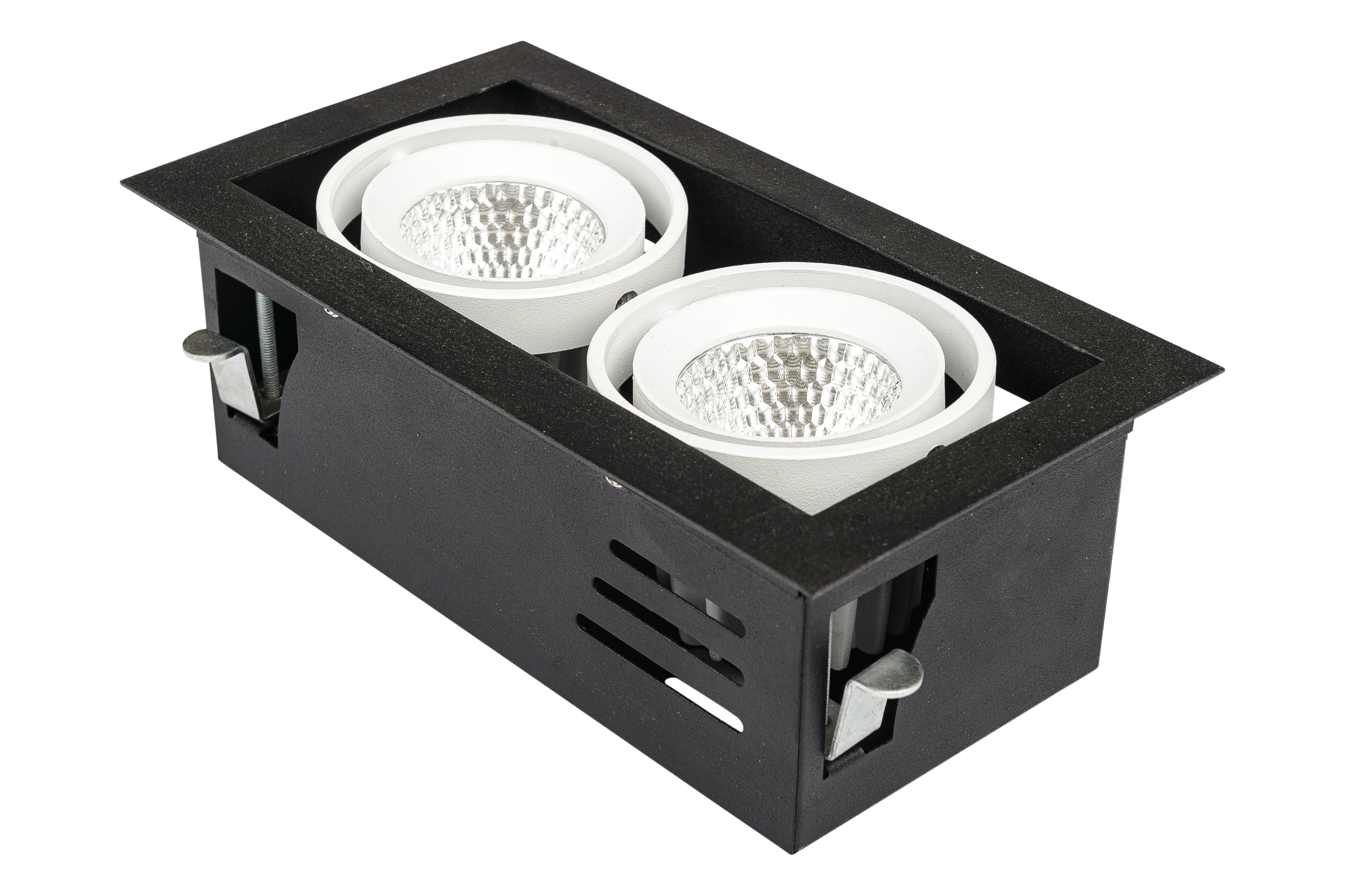 FB 12W x 2 Gimbal Down Light