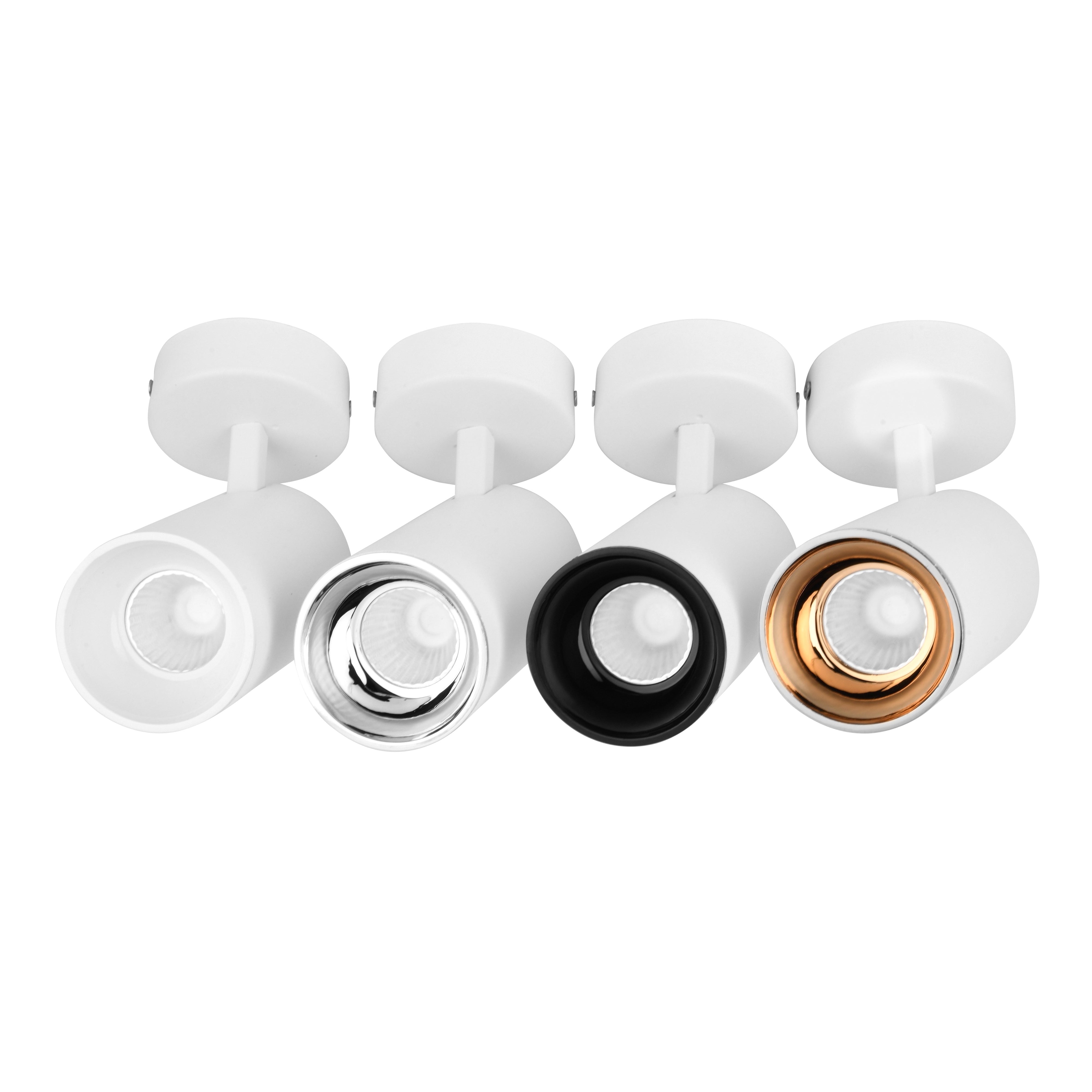WALL LIGHT WITH COLOR RING (Model No- 2022)
