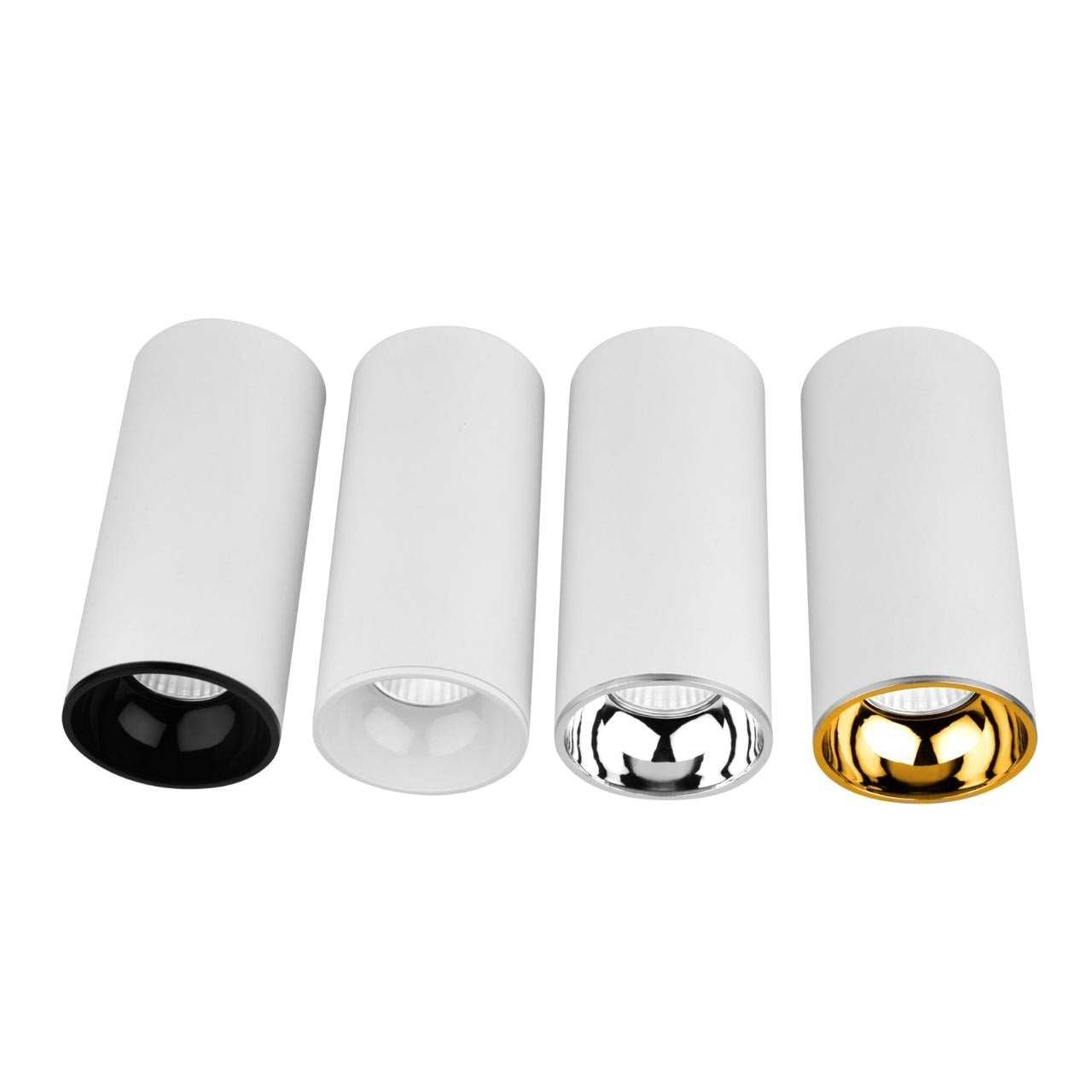 SURFACE LIGHT WITH COLOR RING (Model No-2022)