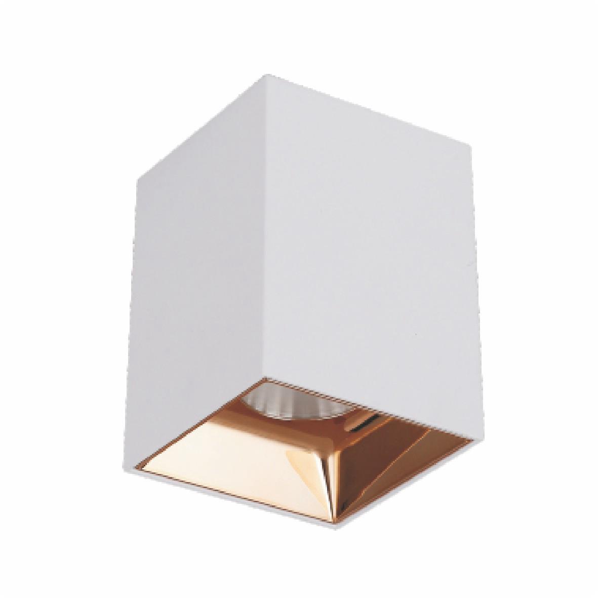 SURFACE SQUARE COB