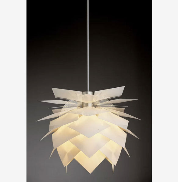 Sunflower Spotlight – Hans Lights